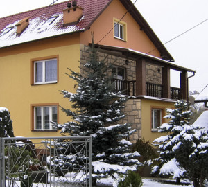 Chateau Bronze Family House
