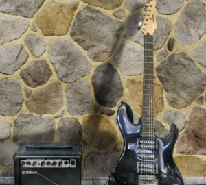 Savoie Beige Guitar Interior